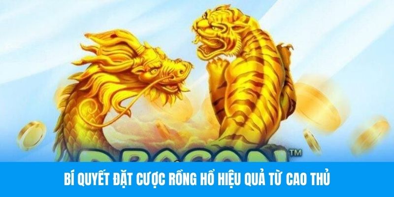 Rồng Hổ