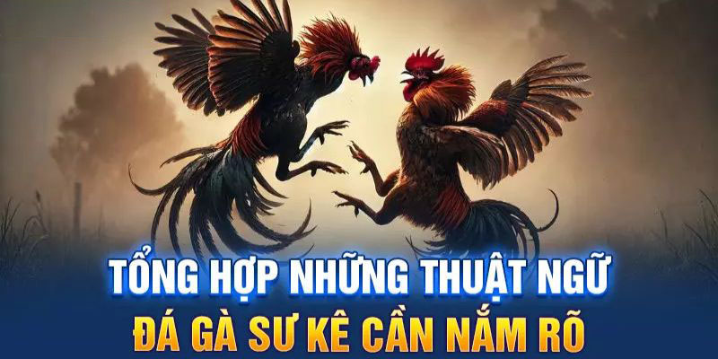 Thuật Ngữ Đá Gà